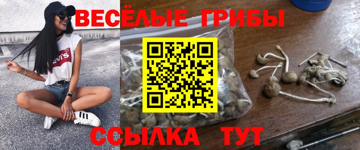 Галлюциногенные грибы мицелий Арсеньев